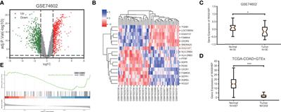 The Novel LncRNA WASH5P Inhibits Colorectal Cancer Carcinogenesis via Targeting AKT Signaling Pathway